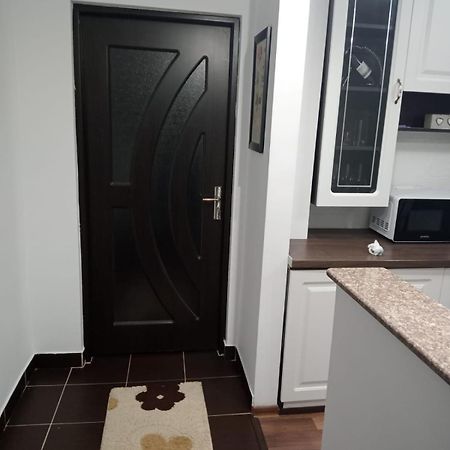 Penti Apartament Suceava Extérieur photo